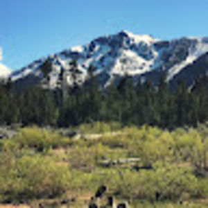 Meet your Posher, Deborah brim